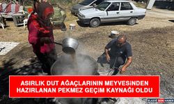 Asırlık Dut Ağaçlarının Meyvesinden Hazırlanan Pekmez Geçim Kaynağı Oldu