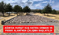Ağın'da Hurşit Kuş Hatıra Ormanı ve Piknik Alanı'nda Çalışma Başlatıldı