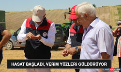 Hasat Başladı, Verim Yüzleri Güldürüyor