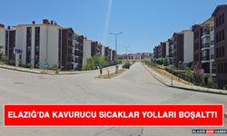 Elazığ'da Kavurucu Sıcaklar Yolları Boşalttı