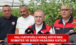 Vali Hatipoğlu Kıraç Köyü'nde Domates ve Biber Hasadına Katıldı