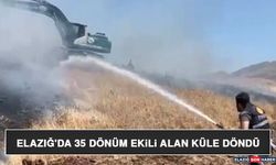 Elazığ'da 35 Dönüm Ekili Alan Küle Döndü