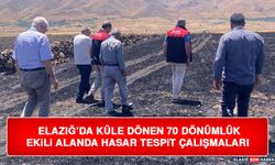 Elazığ’da Küle Dönen 70 Dönümlük Ekili Alanda Hasar Tespit Çalışmaları