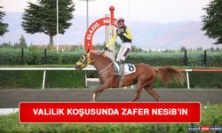 Valilik Koşusunda Zafer Nesib’in