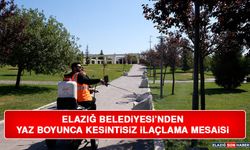 Elazığ Belediyesi’nden Yaz Boyunca Kesintisiz İlaçlama Mesaisi