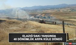 Elazığ’daki Yangında 40 Dönümlük Arpa Küle Döndü