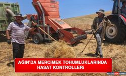 Ağın’da Mercimek Tohumluklarında Hasat Kontrolleri