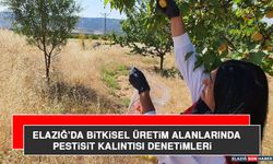 Elazığ’da Bitkisel Üretim Alanlarında Pestisit Kalıntısı Denetimleri