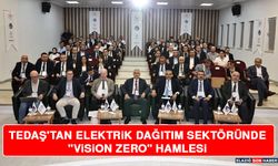 TEDAŞ'tan Elektrik Dağıtım Sektöründe "Vision Zero" Hamlesi