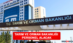 Tarım ve Orman Bakanlığı Personel Alacak