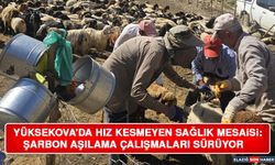Yüksekova'da Hız Kesmeyen Sağlık Mesaisi: Şarbon Aşılama Çalışmaları Sürüyor