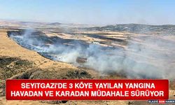 Seyitgazi'de 3 Köye Yayılan Yangına Havadan ve Karadan Müdahale Sürüyor