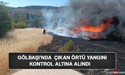 Gölbaşı'nda Çıkan Örtü Yangını Kontrol Altına Alındı