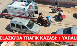 Elazığ’da Trafik Kazası: 1 Yaralı