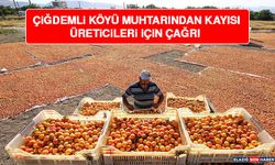 Çiğdemli Köyü Muhtarından Kayısı Üreticileri İçin Çağrı