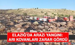 Elazığ'da Arazi Yangını: Arı Kovanları Zarar Gördü