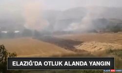 Elazığ’da Otluk Alanda Yangın