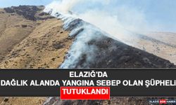 Elazığ'da Dağlık Alanda Yangına Sebep Olan Şüpheli Tutuklandı