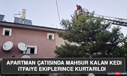 Apartman Çatısında Mahsur Kalan Kedi İtfaiye Ekiplerince Kurtarıldı