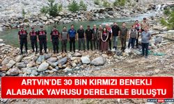 Artvin’de 30 Bin Kırmızı Benekli Alabalık Yavrusu Derelerle Buluştu