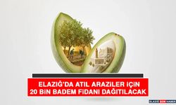 Elazığ'da Atıl Araziler İçin 20 Bin Badem Fidanı Dağıtacak