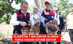 Elazığ'da 7 Bin Dekar Alanda Kiraz Hasadı Devam Ediyor