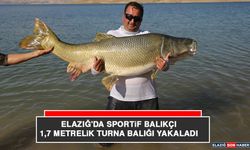 Elazığ'da Sportif Balıkçı 1,7 Metrelik Turna Balığı Yakaladı