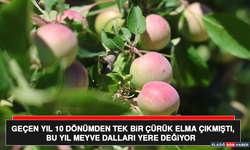 Geçen Yıl 10 Dönümden Tek Bir Çürük Elma Çıkmıştı, Bu Yıl Meyve Dalları Yere Değiyor