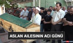Aslan Ailesinin Acı Günü