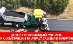 Şahaplı ve Koparuşağı Yolunda 5 Kilometrelik BSK Asfalt Çalışması Sürüyor