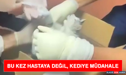 Bu Kez Hastaya Değil, Kediye Müdahale
