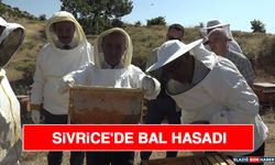 Sivrice'de Bal Hasadı
