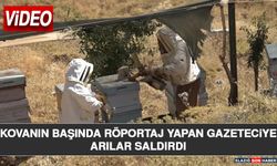 Röportaj Sırasında Arılar Saldırdı: Kovan Başında Zor Anlar Yaşadı