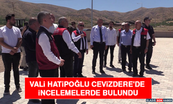Vali Hatipoğlu Cevizdere'de İncelemelerde Bulundu