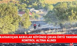 Karakoçan Akbulak Köyünde Çıkan Örtü Yangını Kontrol Altına Alındı