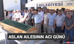 Aslan Ailesinin Acı Günü