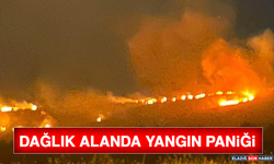 Dağlık Alanda Yangın Paniği