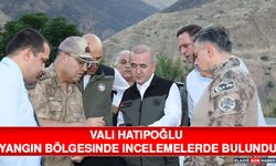 Vali Hatipoğlu Yangın Bölgesinde İncelemelerde Bulundu
