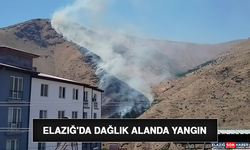 Elazığ'da Dağlık Alanda Yangın