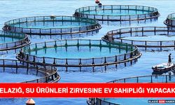 Elazığ, Su Ürünleri Zirvesine Ev Sahipliği Yapacak