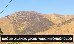 Dağlık Alanda Çıkan Yangın Söndürüldü