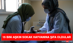 15 Bini Aşkın Sokak Hayvanına Şifa Oldular