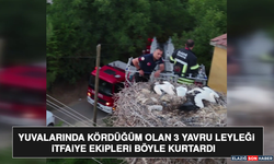 Yuvalarında Kördüğüm Olan 3 Yavru Leyleği İtfaiye Ekipleri Böyle Kurtardı