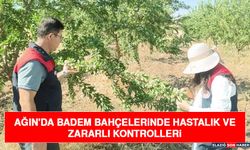 Ağın'da Badem Bahçelerinde Hastalık Ve Zararlı Kontrolleri