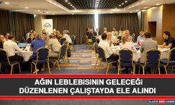 Ağın Leblebisinin Geleceği Düzenlenen Çalıştayda Ele Alındı