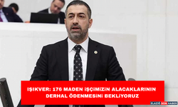 Işıkver: 176 Maden İşçimizin Alacaklarının Derhal Ödenmesini Bekliyoruz