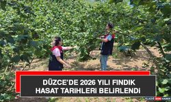 Düzce’de 2026 Yılı Fındık Hasat Tarihleri Belirlendi