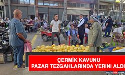 Çermik Kavunu Pazar Tezgahlarında Yerini Aldı
