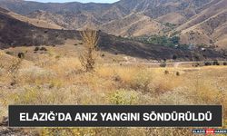 Elazığ’da Anız Yangını Söndürüldü