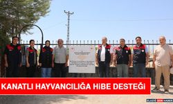 Kanatlı Hayvancılığa Hibe Desteği